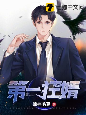 第一狂婿